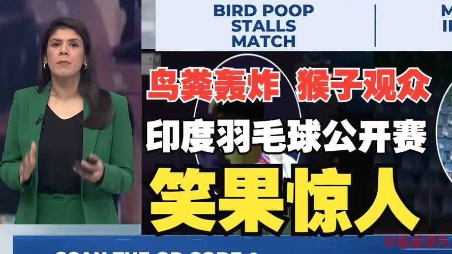 世界羽联回应印度公开赛猴子入场、落鸟粪等问题