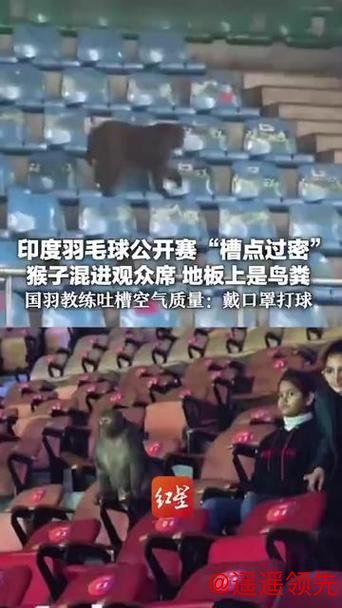 世界羽联回应印度公开赛猴子入场、落鸟粪等问题