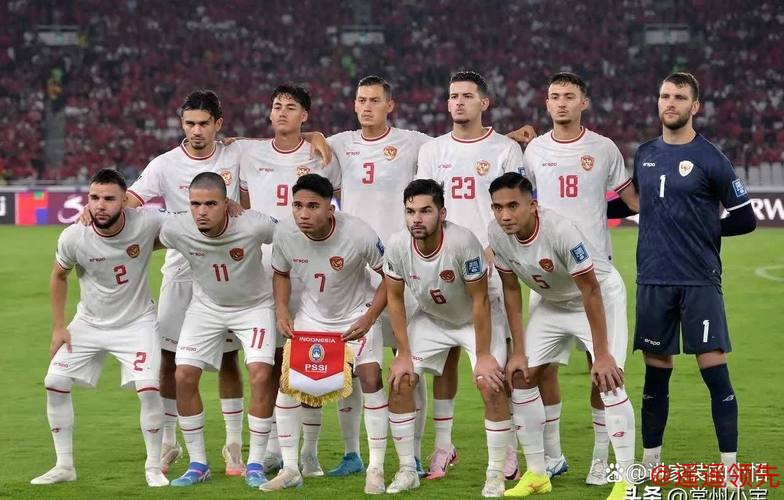 世预赛-10名归化球员首发 印尼客场1-5不敌澳大利亚
