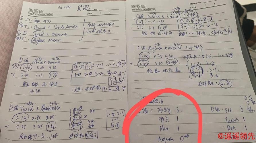 免费官方平台：世界杯下注策略分享