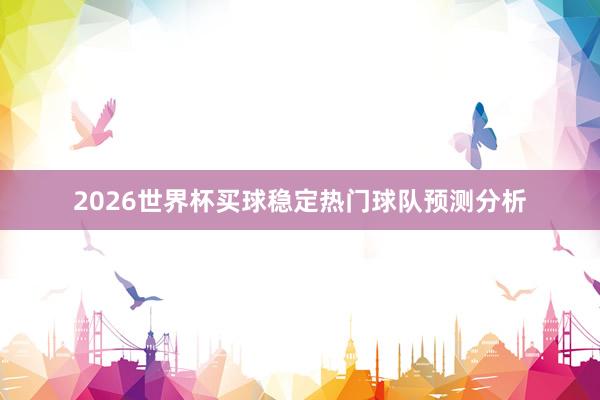 2026世界杯买球稳定热门球队预测分析